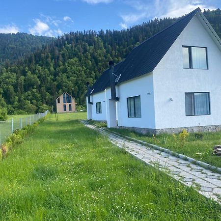 Ferienwohnung White House Near Borjomi Sadgeri Exterior foto