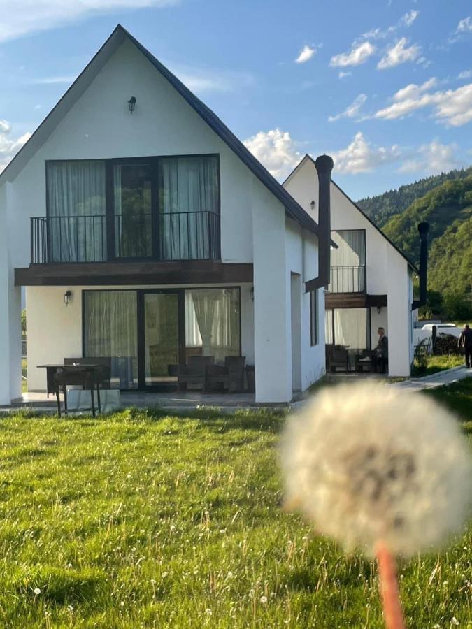 Ferienwohnung White House Near Borjomi Sadgeri Exterior foto